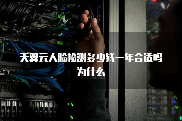 天翼云人脸检测多少钱一年合适吗为什么