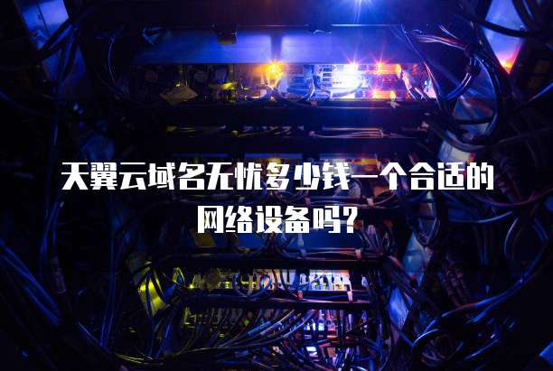 天翼云域名无忧多少钱一个合适的网络设备吗?