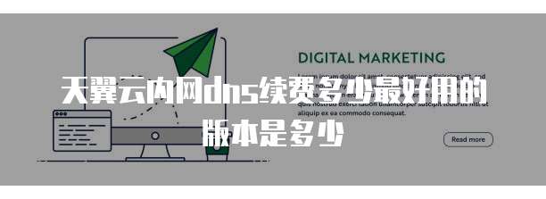 天翼云内网dns续费多少最好用的版本是多少