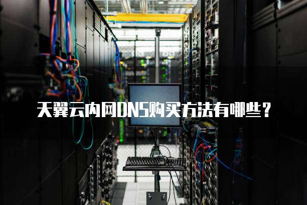 天翼云内网DNS购买方法有哪些?