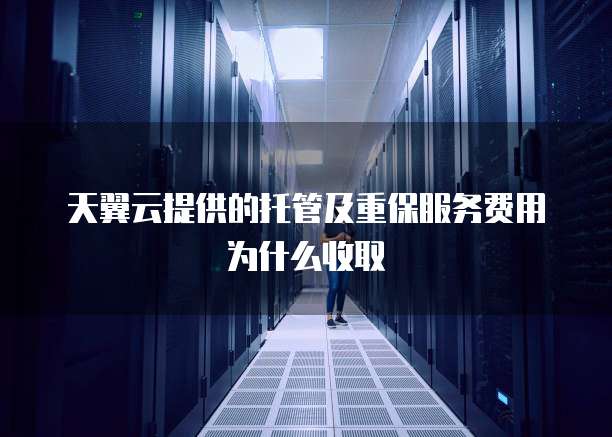 天翼云提供的托管及重保服务费用为什么收取