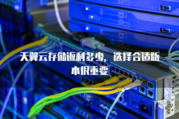 天翼云存储返利多少,选择合适版本很重要