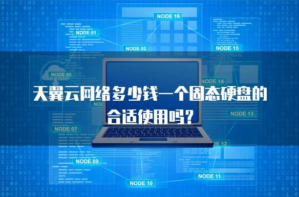 天翼云网络多少钱一个固态硬盘的合适使用吗?