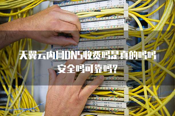 天翼云内网DNS收费吗是真的吗吗安全吗可靠吗?