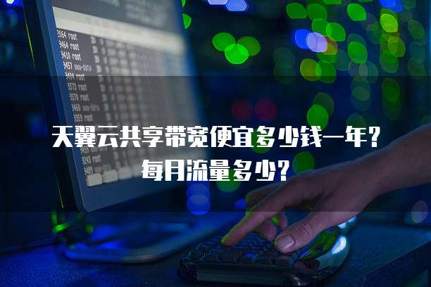天翼云共享带宽便宜多少钱一年?每月流量多少?