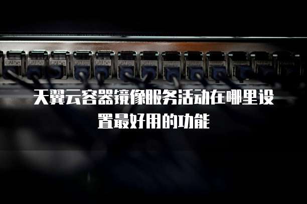 天翼云容器镜像服务活动在哪里设置最好用的功能
