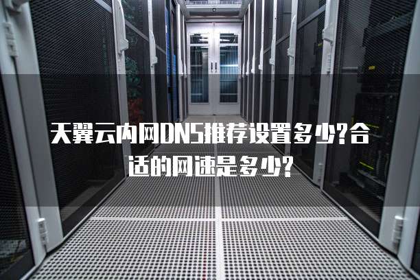 天翼云内网DNS推荐设置多少?合适的网速是多少?