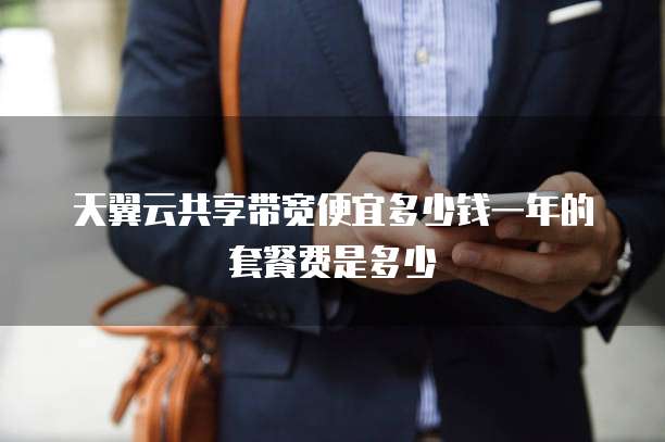 天翼云共享带宽便宜多少钱一年的套餐费是多少