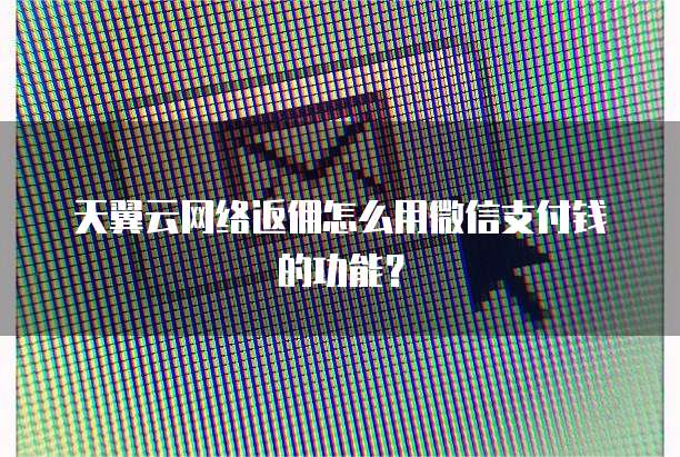 天翼云网络返佣怎么用微信支付钱的功能?