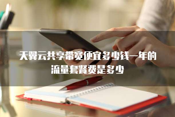 天翼云共享带宽便宜多少钱一年的流量套餐费是多少