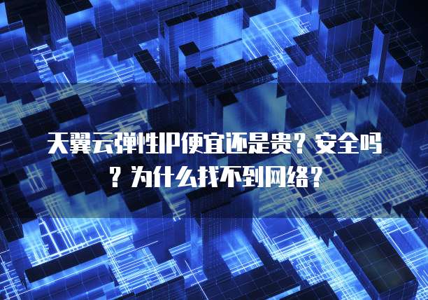 天翼云弹性IP便宜还是贵?安全吗?为什么找不到网络?