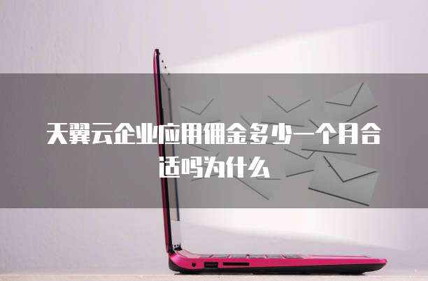 天翼云企业应用佣金多少一个月合适吗为什么