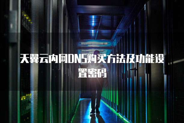 天翼云内网DNS购买方法及功能设置密码