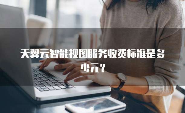 天翼云智能视图服务收费标准是多少元?