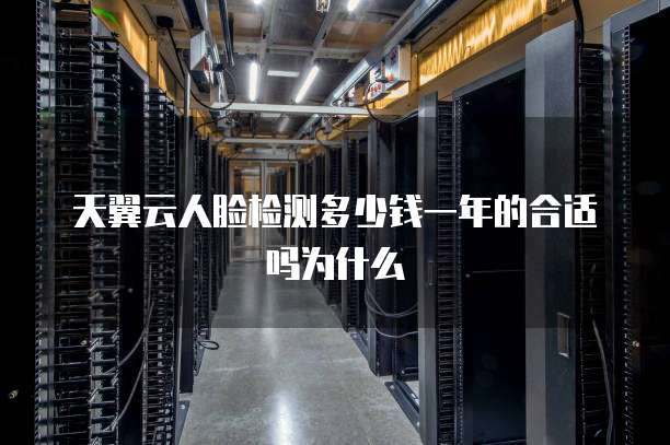 天翼云人脸检测多少钱一年的合适吗为什么
