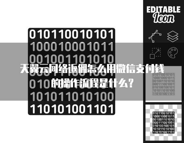 天翼云网络返佣怎么用微信支付钱的操作流程是什么？