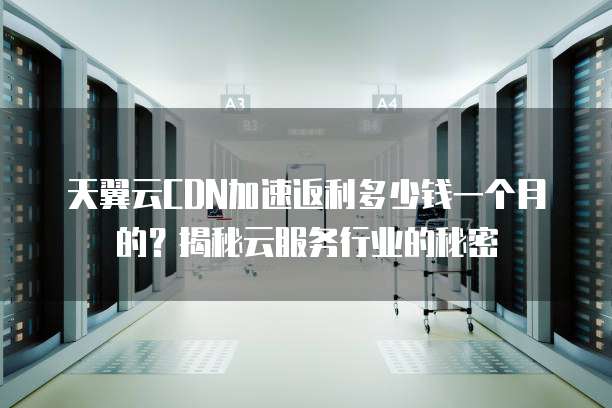 天翼云CDN加速返利多少钱一个月的？揭秘云服务行业的秘密