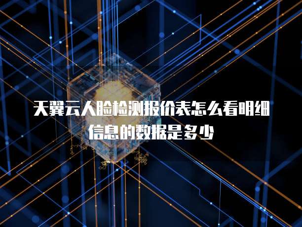 天翼云人脸检测报价表怎么看明细信息的数据是多少