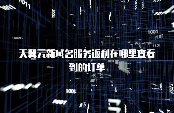 天翼云新域名服务返利在哪里查看到的订单