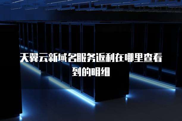 天翼云新域名服务返利在哪里查看到的明细
