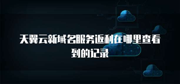 天翼云新域名服务返利在哪里查看到的记录