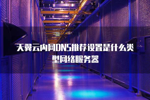 天翼云内网DNS推荐设置是什么类型网络服务器