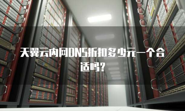 天翼云内网DNS折扣多少元一个合适吗?