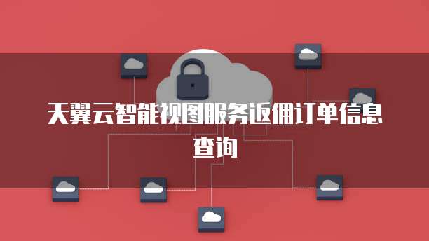 天翼云智能视图服务返佣订单信息查询