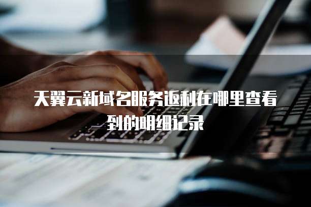 天翼云新域名服务返利在哪里查看到的明细记录