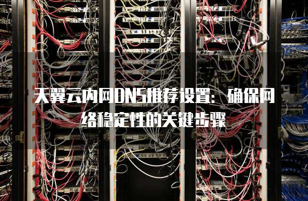 天翼云内网DNS推荐设置:确保网络稳定性的关键步骤