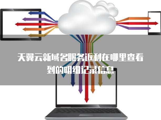 天翼云新域名服务返利在哪里查看到的明细记录信息