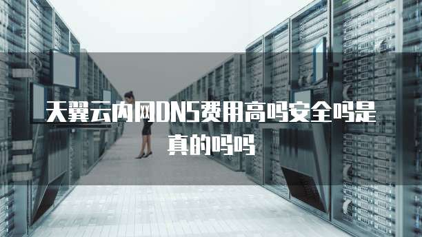 天翼云内网DNS费用高吗安全吗是真的吗吗