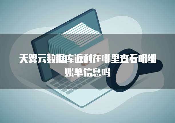 天翼云数据库返利在哪里查看明细账单信息吗
