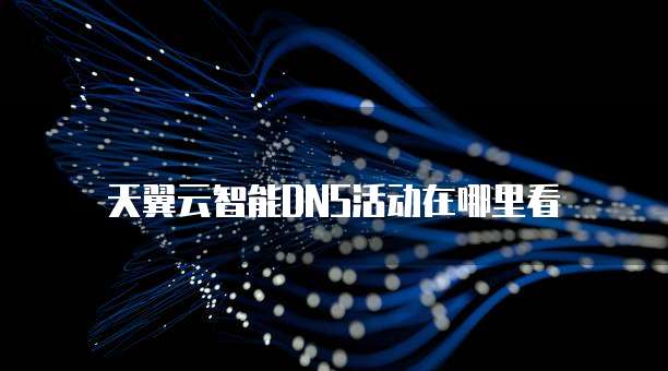 天翼云智能DNS活动在哪里看