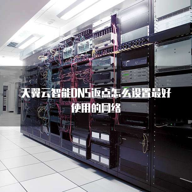 天翼云智能DNS返点怎么设置最好使用的网络