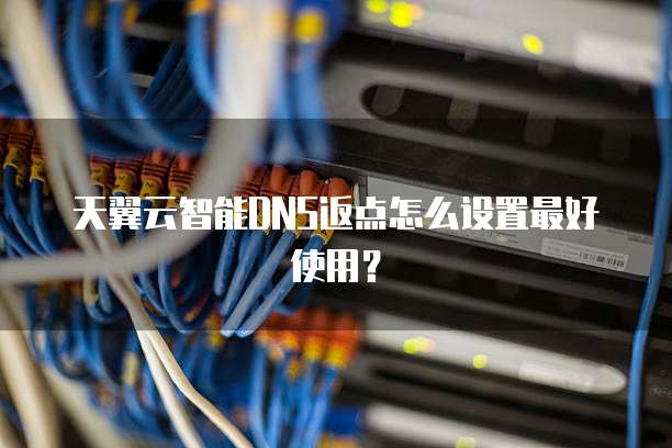 天翼云智能DNS返点怎么设置最好使用?
