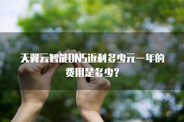 天翼云智能DNS返利多少元一年的费用是多少?