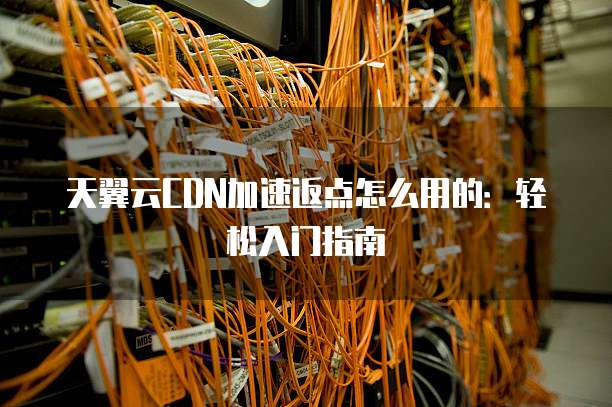 天翼云CDN加速返点怎么用的:轻松入门指南