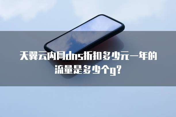 天翼云内网dns折扣多少元一年的流量是多少个g?