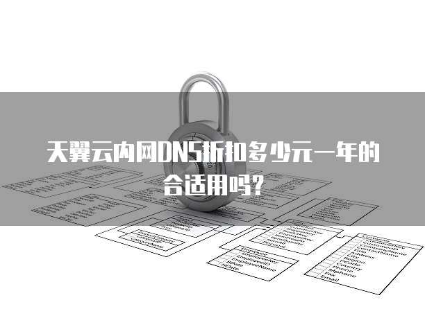 天翼云内网DNS折扣多少元一年的合适用吗？
