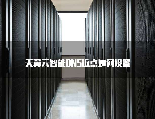 天翼云智能DNS返点如何设置