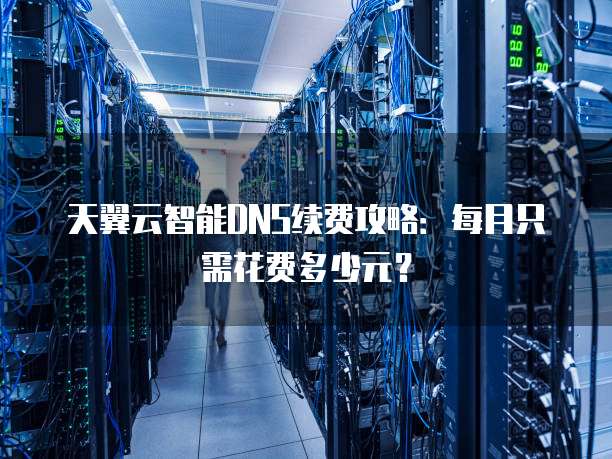 天翼云智能DNS续费攻略:每月只需花费多少元?