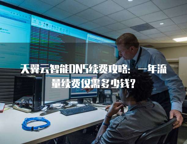 天翼云智能DNS续费攻略：一年流量续费仅需多少钱？