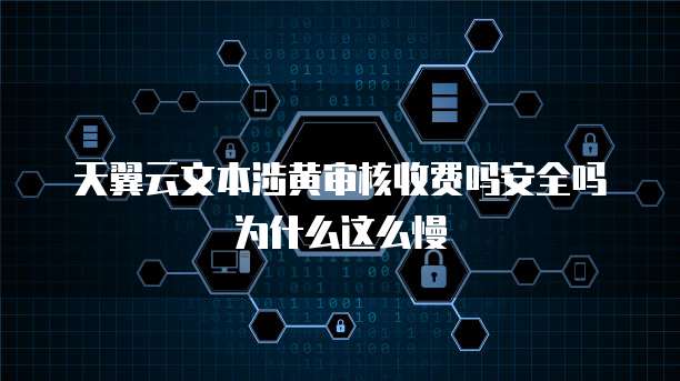 天翼云文本涉黄审核收费吗安全吗为什么这么慢