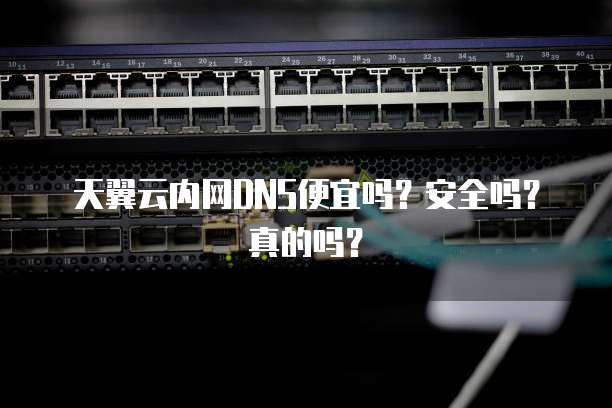 天翼云内网DNS便宜吗?安全吗?真的吗?