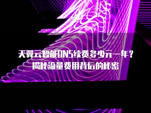 天翼云智能DNS续费多少元一年?揭秘流量费用背后的秘密