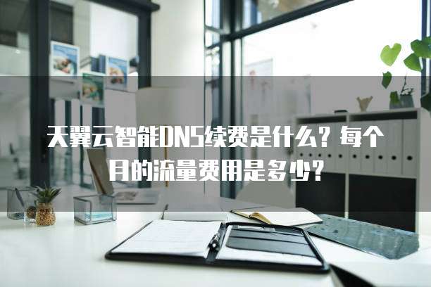 天翼云智能DNS续费是什么?每个月的流量费用是多少?