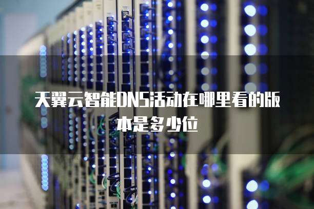 天翼云智能DNS活动在哪里看的版本是多少位