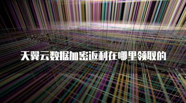 天翼云数据加密返利在哪里领取的