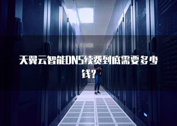天翼云智能DNS续费到底需要多少钱?